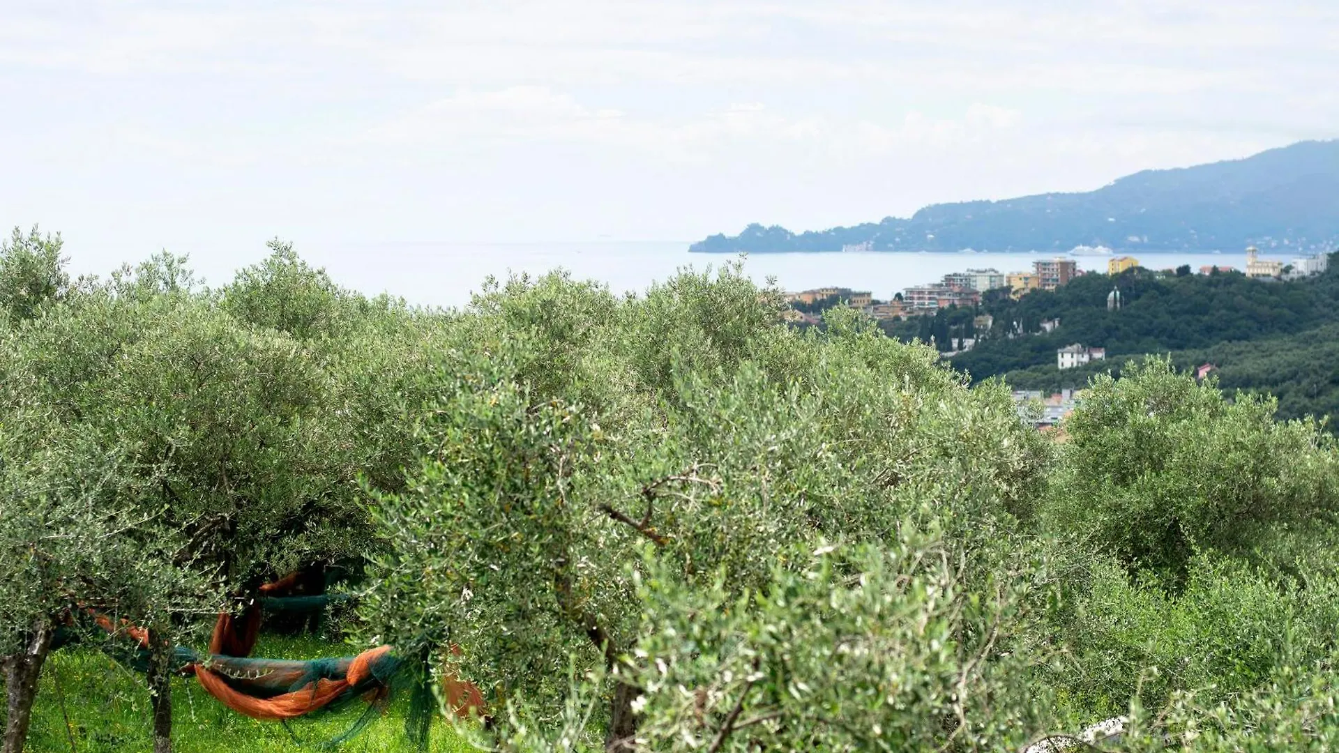 Villa Angelina Lavagna 0*,